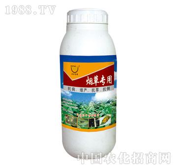 (rn)-݌(zhun)