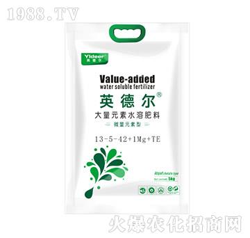 Ԫˮܷ13-5-42+1Mg+TE-Ӣ?tng)??tng)? width=