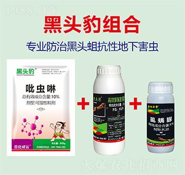 10%x(chng)+2.5%Чȷ+50ÿ-滯h(yun)