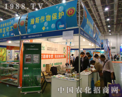 2011BTȫֲ(hu)˹ﱣo(h)(sh)F(xin)vw
