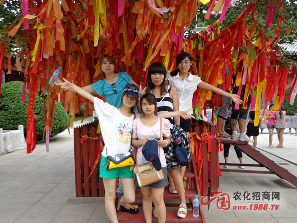 許愿樹(shù)下的美女們