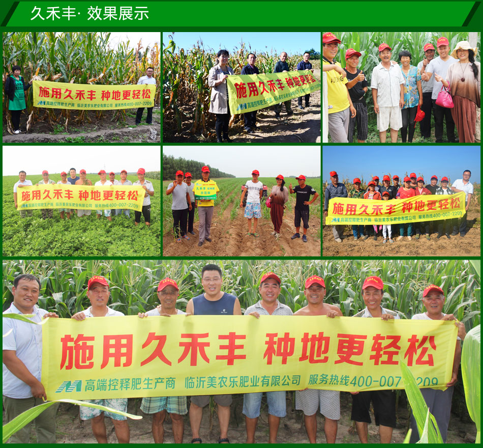 臨沂美農樂肥業(yè)有限公司產品效果展示