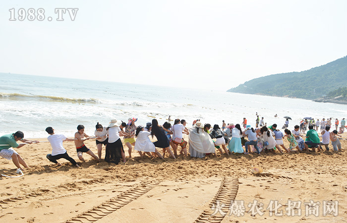 泯L(fng)(li)--ӛ֮