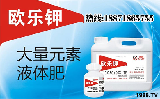 【賽固特】恭祝新老客戶雞年行大運(yùn),財(cái)源滾滾來!