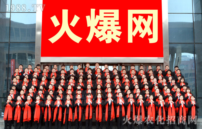來我的懷里或者讓我住進(jìn)你的心里——給火爆網(wǎng)的一封信