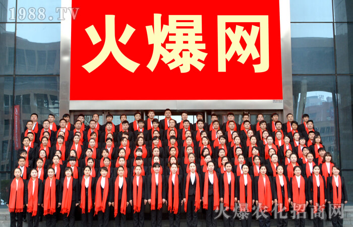 春天里的邂逅