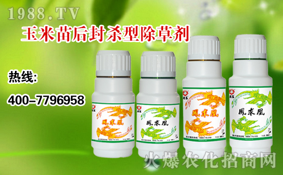 【順天農(nóng)業(yè)】祝大家:幸福萬年長,快樂無邊疆,好運(yùn)更健康!