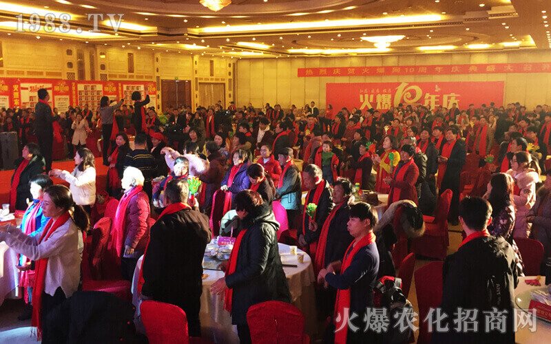 十年火爆網(wǎng),攜手共成長(zhǎng)