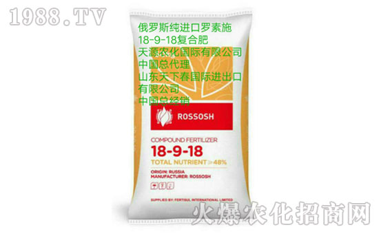 【山東天下春】祝您新年快樂(lè),財(cái)運(yùn)亨通!