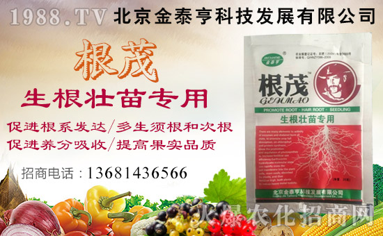 ̩ࡿףλ(jng)Nтtؔ(ci)ԴVM(jn)