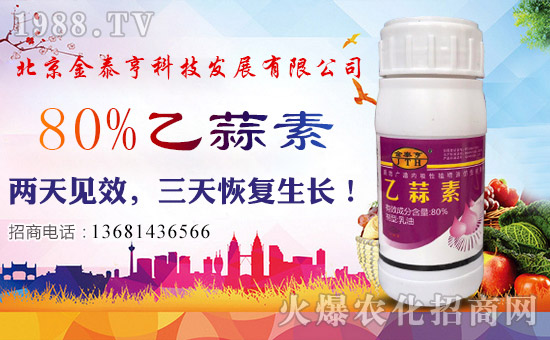 ̩ࡿףλ(jng)Nтtؔ(ci)ԴVM(jn)