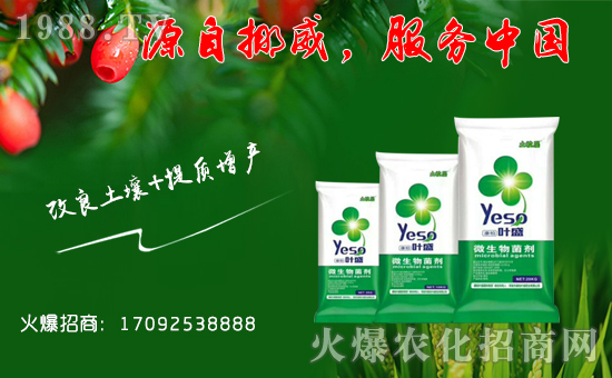 【康柏國(guó)際】祝福一路相伴的朋友們?cè)谛碌囊荒昀镄腋C罎M,闔家歡樂!