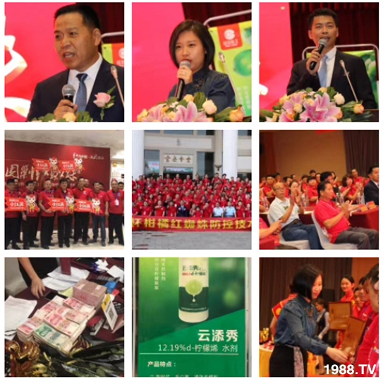 tƻףٸRT´