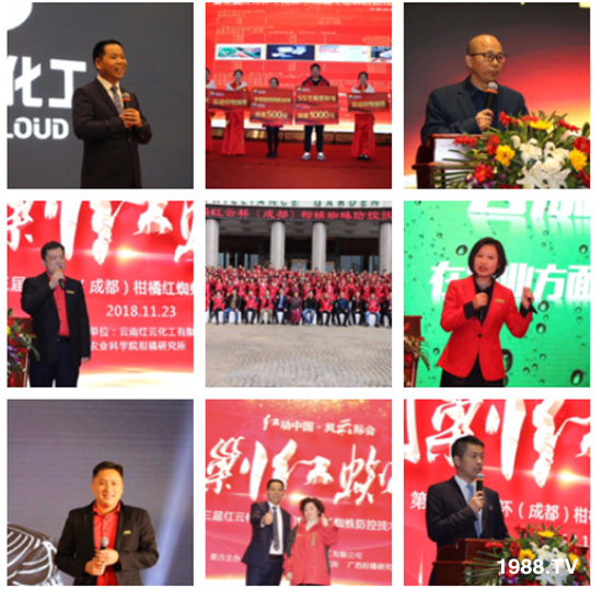 tƻףٸRT´