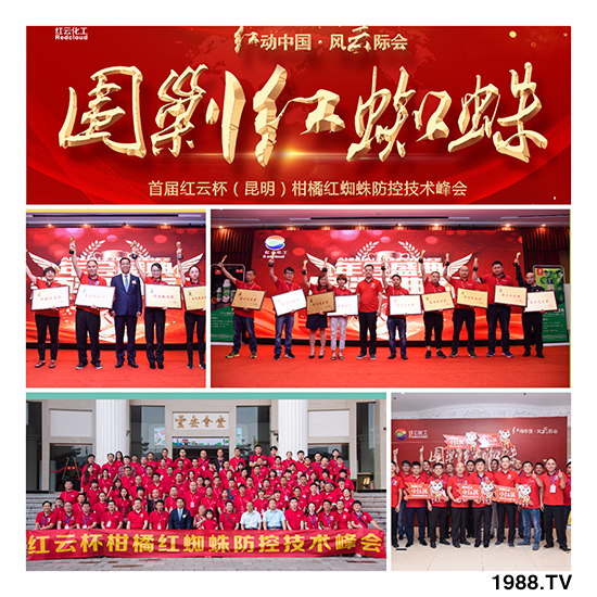 tƻףٸRT࣬´