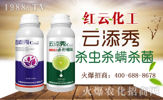 tƻףٸRT࣬´