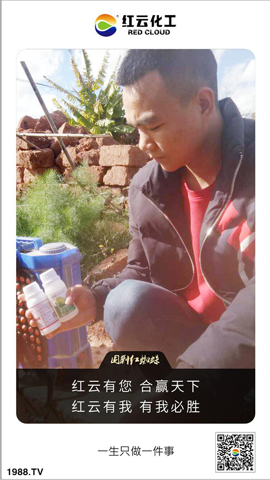 tƻףٸRT´