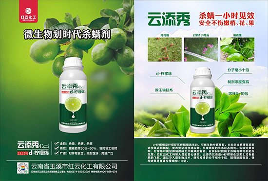 tƻףٸRT࣬´