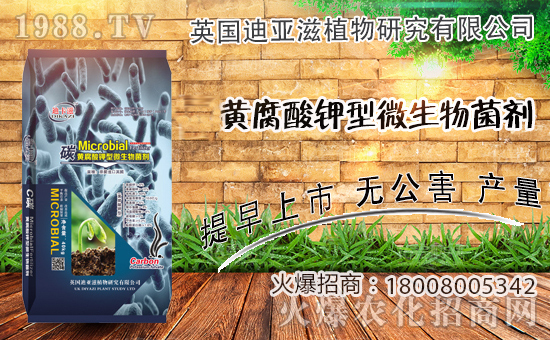 r(nng)W(wng)ϲӭѣӢῥy1988.TV_ؾW(wng)j