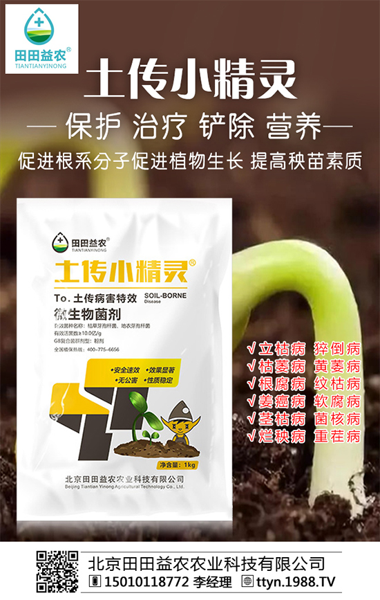 近日復合肥價格行情分析及后市預測2019-10-12