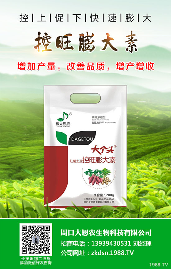 冬小麥播種后出苗不齊是怎么回事?小麥出苗不好預防措施!