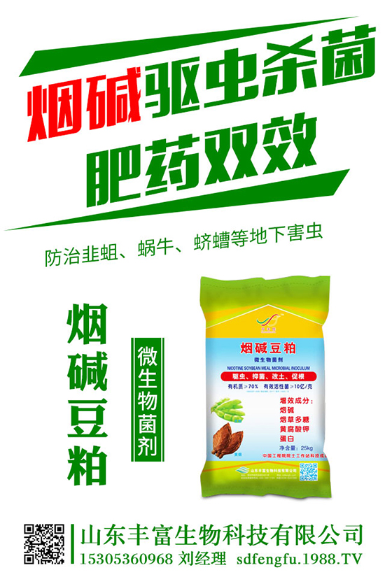 荷蘭豆什么時(shí)候種植適合?荷蘭豆秋季種植時(shí)間及技術(shù)!
