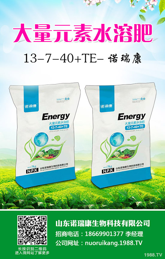 2019年10月下旬最新復(fù)合肥行情走勢綜合分析