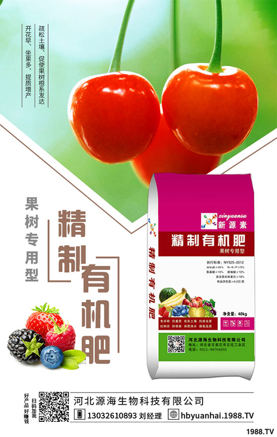 2020年香菇種植前景如何?2020年香菇種植賺錢嗎?