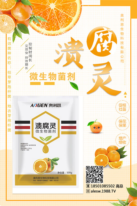 甘蔗什么時候種?甘蔗種植技術及種植條件
