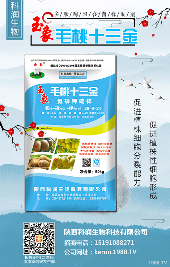 2019-10-30最新二銨價(jià)格行情動(dòng)態(tài)評(píng)述,多少錢一噸?