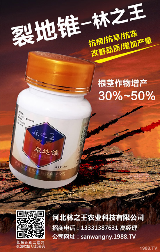 ѹôѹδʩ