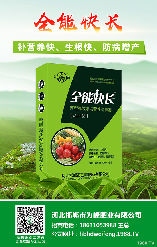 五味子樹該如何種植?五味子規(guī)模化種植技術