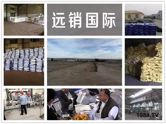 礦源黃腐酸鉀——精品肥!1公斤=8噸有機(jī)肥!新疆源頭直發(fā)。。