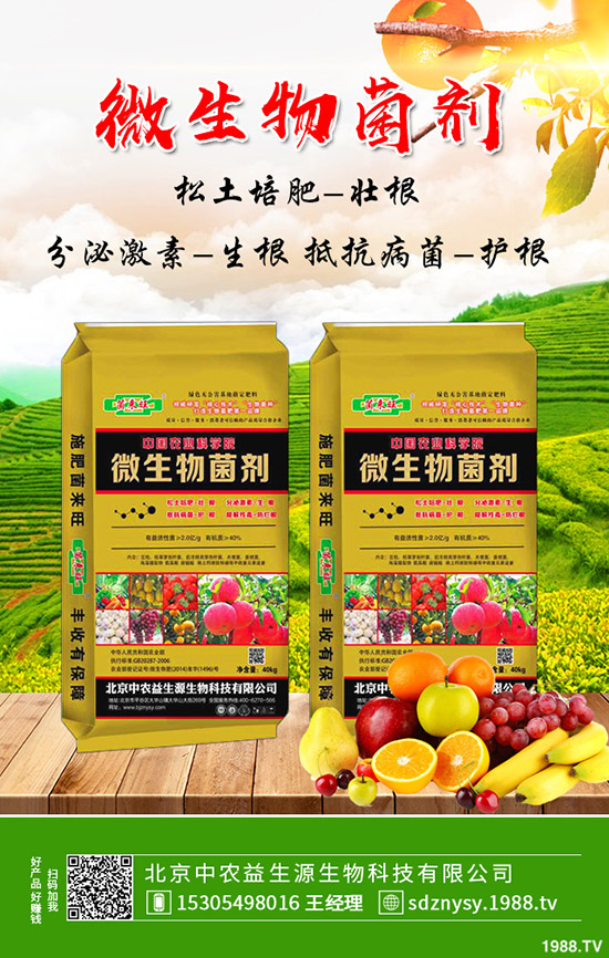 鉀肥價(jià)格將維持弱穩(wěn)!2019年11月2日最新行情走勢(shì)分析!