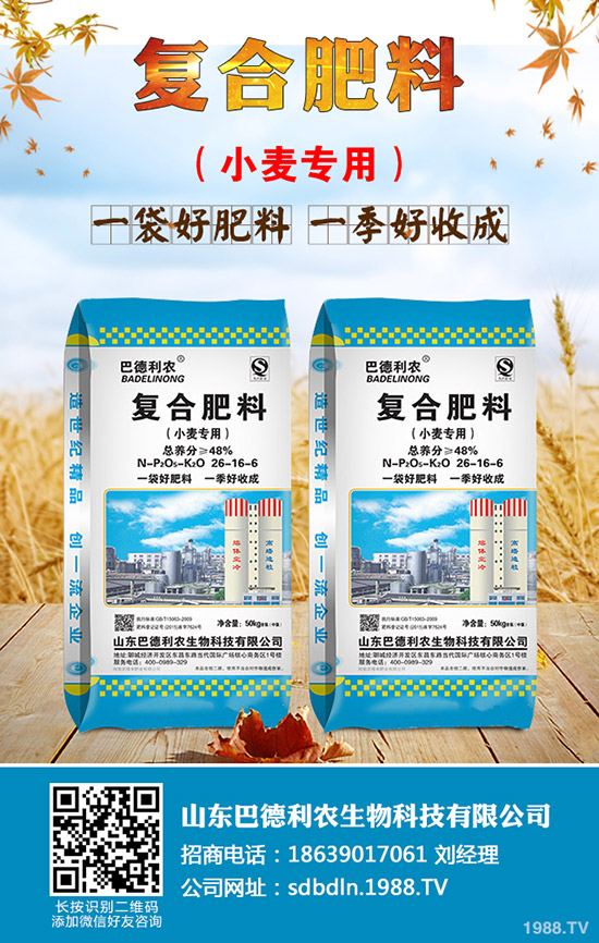 2019年11月21日復(fù)合肥行情回暖!各地區(qū)復(fù)合肥參考報(bào)價(jià)一覽!