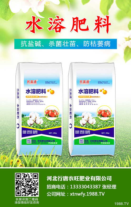 2019.11.29復合肥行情不溫不火!近期復合肥價格走勢分析!