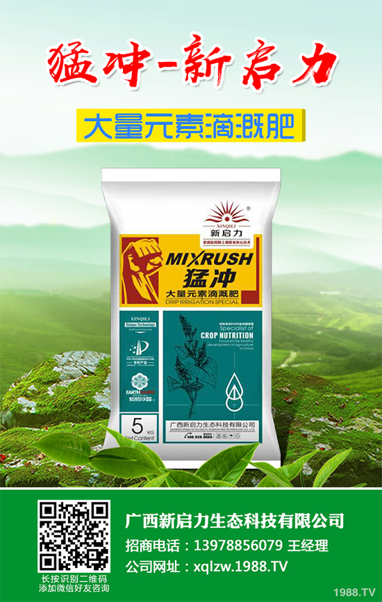 你知道草石蠶該怎么種嗎?草石蠶的種植技巧