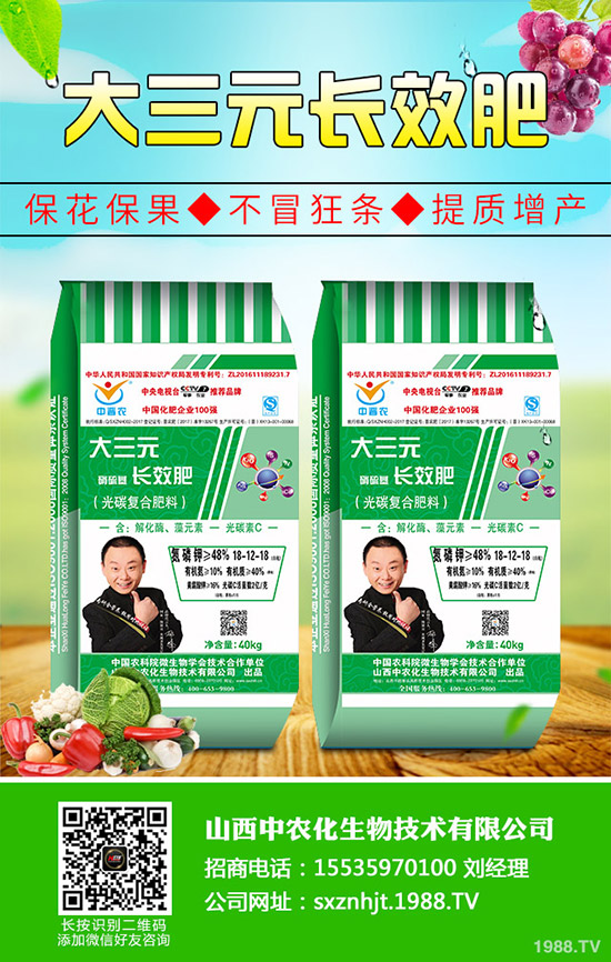 復(fù)合肥冬儲行情下沉!2019年11月4日今日復(fù)合肥出廠參考報一覽!