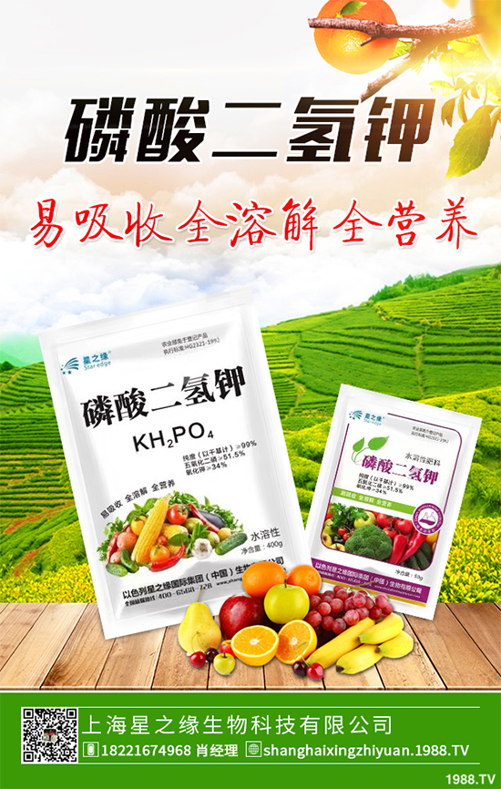 花椰菜花球出現異常是什么原因?該如何解決?快來看看吧!