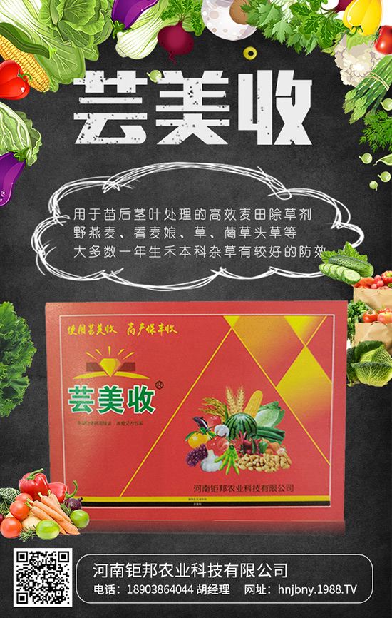 河南鉅邦農業(yè)科技有限公司1