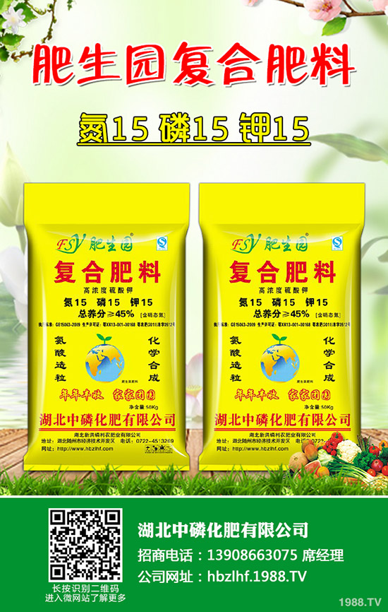 奶油草莓什么時間上市?一年可以結幾次果?主要產地在哪里?