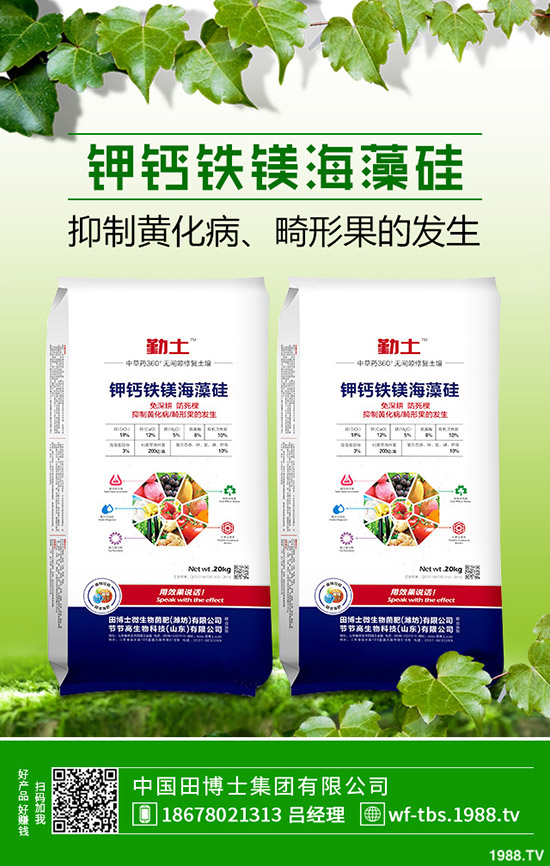 2019年11月8日最新鉀肥行情走勢(shì)預(yù)測(cè),氯化鉀出廠報(bào)價(jià)一覽