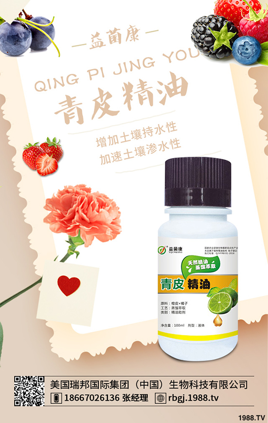 oԓ޼@Щֵղ
