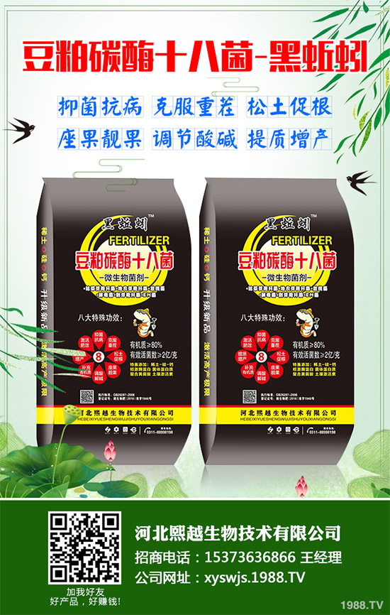 大棚韭菜該怎么種?冬季大棚韭菜種植技術(shù)要點