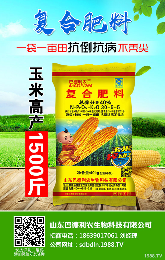 復(fù)合肥市場行情低迷!2019年12月13日今日復(fù)合肥價(jià)格早報(bào)!