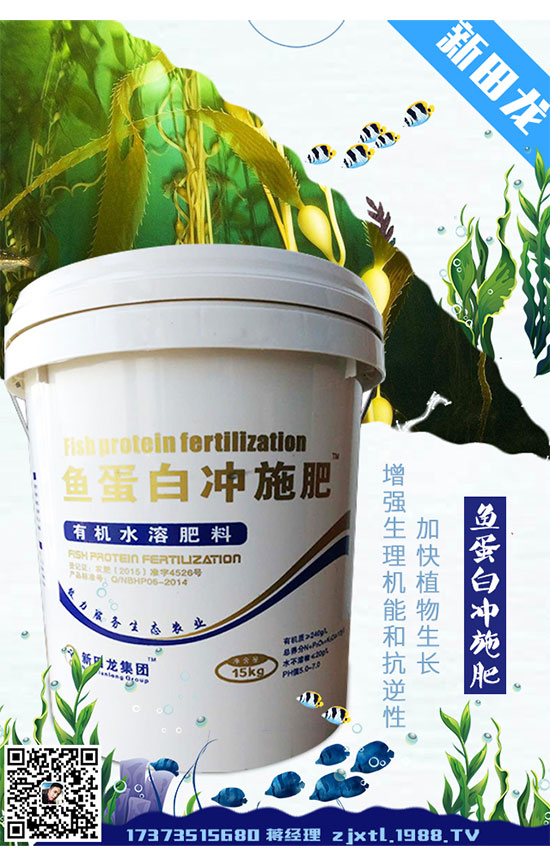 2020年龍膽草種植前景,龍膽草的繁殖技術(shù)!