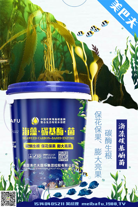 貢菊花該如何選購(gòu)?貢菊花的常見(jiàn)用法