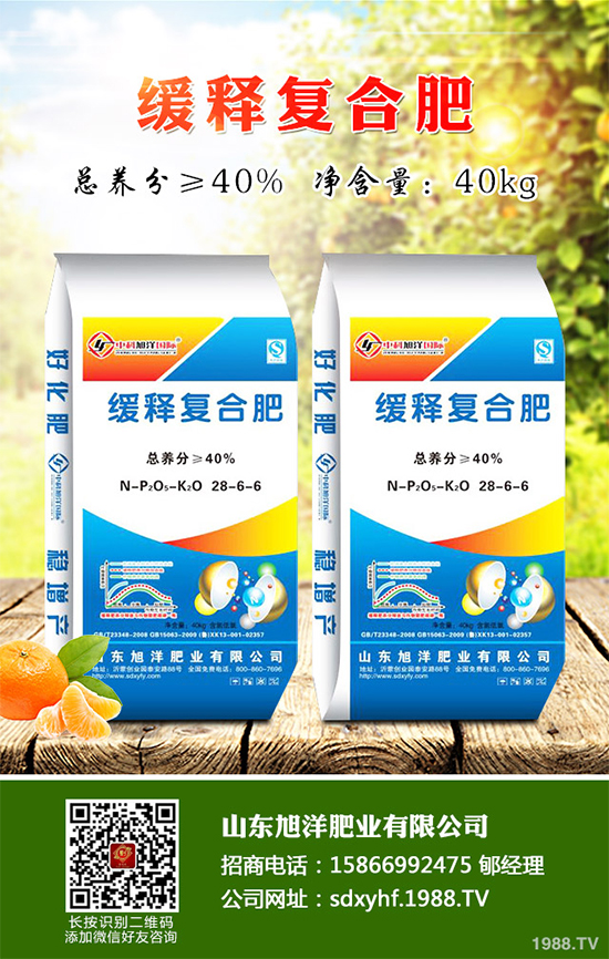 貢菊、杭白菊和胎菊有哪些不同之處?產(chǎn)地在哪?快來看看吧!