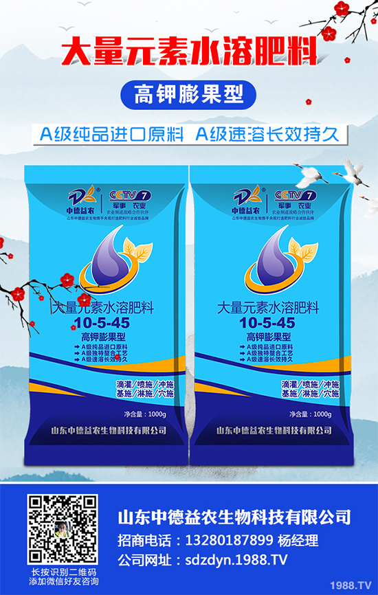 貢菊、杭白菊和胎菊有哪些不同之處?產(chǎn)地在哪?快來看看吧!