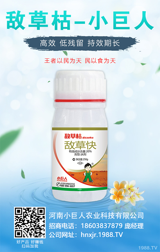 無花果種植行情怎么樣?如果能實現(xiàn)種植高產(chǎn)?